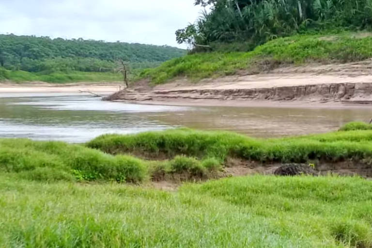 Seca deixa 20 cidades em emergência no Amazonas, e governo pede que população estoque comida