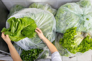 Doação de Alimentos de Produtores do Cinturão Verde