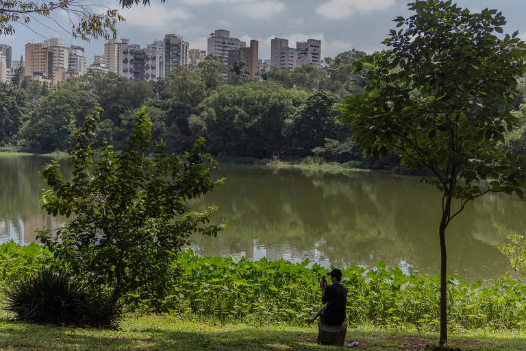 Passar ao menos 10 minutos na natureza ajuda a aliviar sintomas de ansiedade e depressão