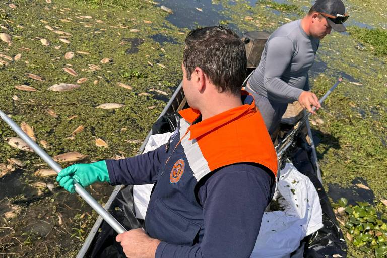 A imagem mostra dois homens em um barco coletando peixes mortos em uma lagoa coberta de vegetação aquática. Um dos homens está usando um colete laranja e azul marinho com um emblema, e luvas verdes, enquanto o outro está vestindo uma camisa cinza e um boné preto. Ambos utilizam redes para retirar os peixes da água.