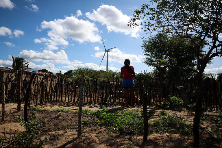 Agricultores e ONGs ficam em lado oposto a governos na transição energética no Nordeste