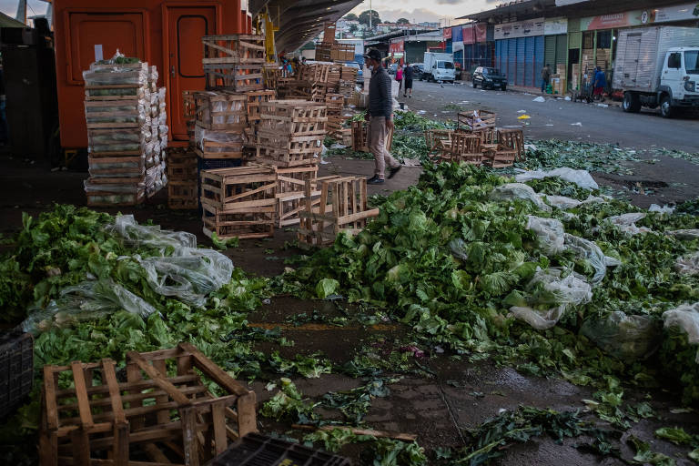 Startup Comida Invisível combate desperdício de alimentos