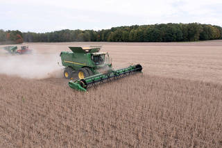 FILE PHOTO: Soybeans are harvested in Ohio