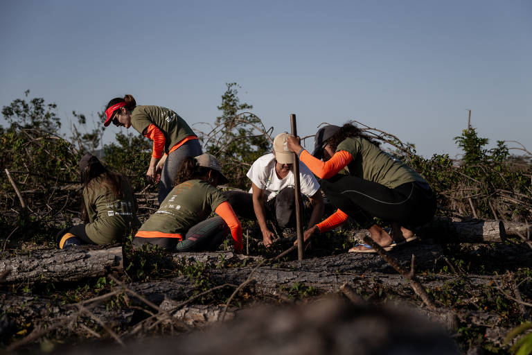 A imagem mostra um grupo de pessoas trabalhando em uma área desmatada. Elas estão agachadas e se concentrando em plantar mudas de árvores. Algumas pessoas usam camisetas de cor verde e laranja, e há troncos de árvores caídos ao redor. O céu está claro e há vegetação ao fundo.