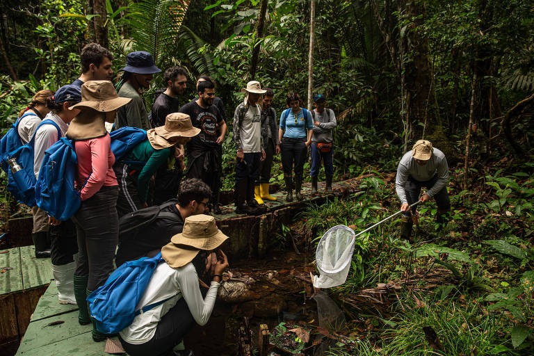 Jovens pesquisadores unem biologia e matemática em laboratório a céu aberto na amazônia