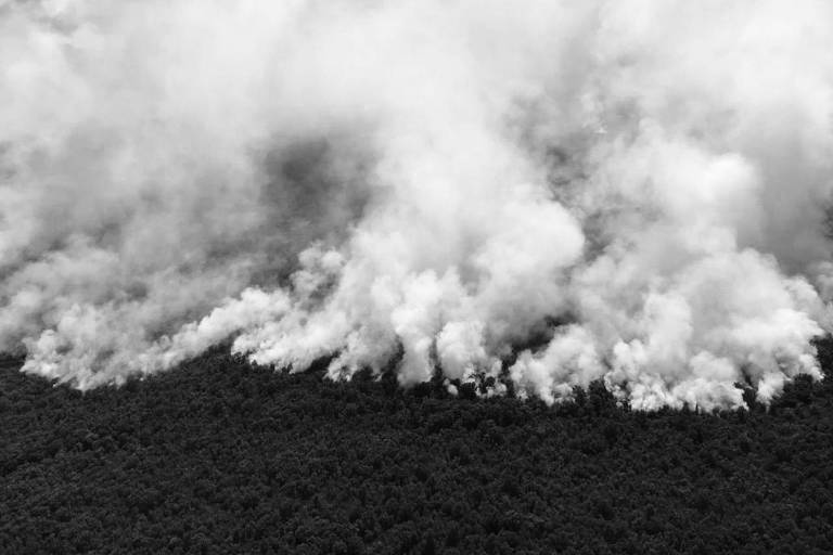 Amazônia arde