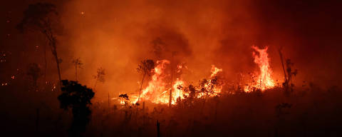 FILE PHOTO: Vegetation burns in Brazil's Amazon rainforest near Manicore, Amazonas state, Brazil, August 3, 2023. REUTERS/Leonardo Benassatto/File Photo ORG XMIT: FW1