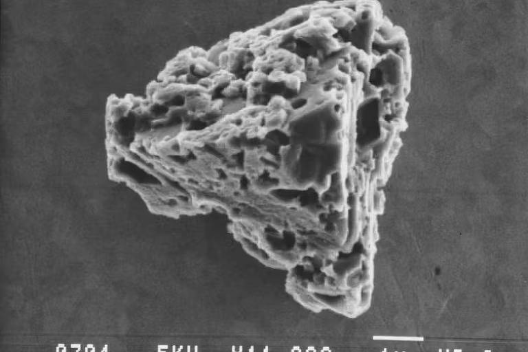 A imagem mostra uma amostra observada sob um microscópio eletrônico, apresentando uma estrutura irregular e detalhada. A amostra tem uma forma triangular e é composta por superfícies rugosas e angulares. Na parte inferior da imagem, há uma escala que indica 1 micrômetro (µm).