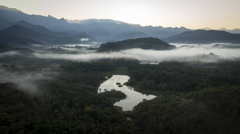 A imagem mostra uma vasta paisagem montanhosa ao amanhecer, com montanhas cobertas de neblina e um rio sinuoso que atravessa uma densa floresta. A luz suave do sol nascente ilumina levemente a cena, destacando a vegetação verde e as formações montanhosas ao fundo.