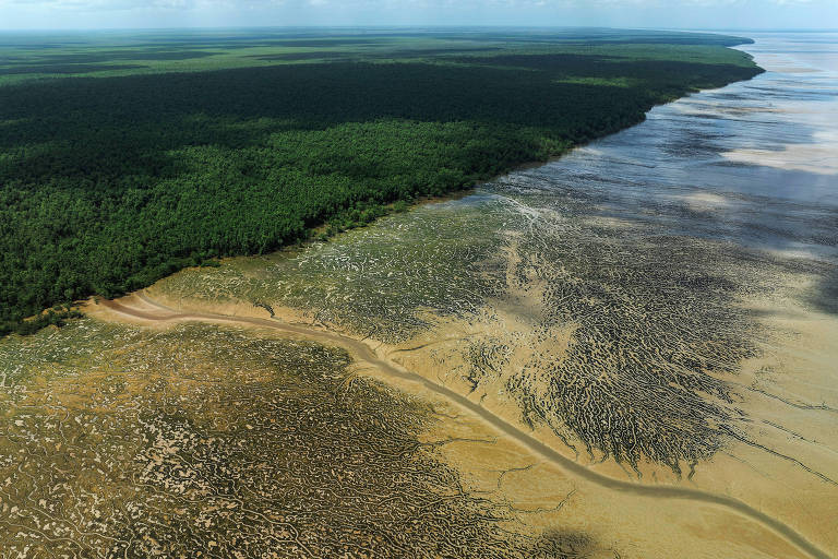 Série de reportagens mostra riscos ambientais de projetos de petróleo e gás na amazônia