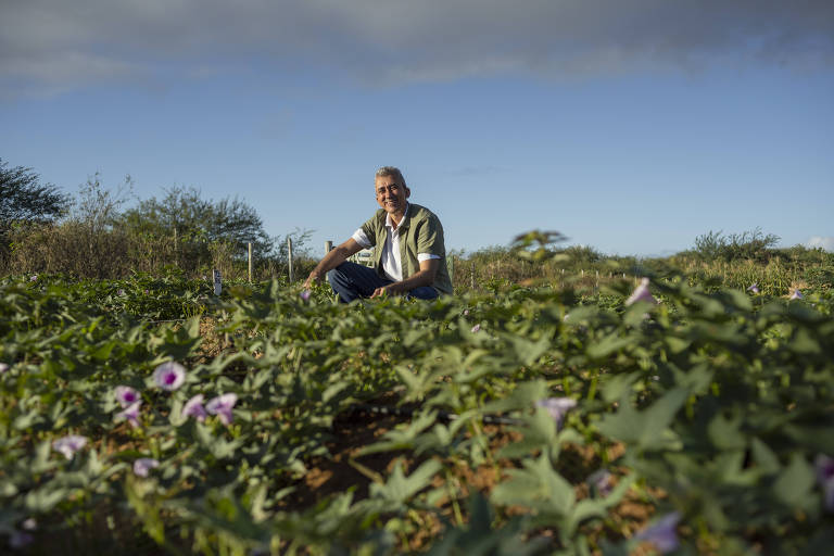 Professor é premiado por distribuição de alimentos biofortificados e combate a fome no sertão