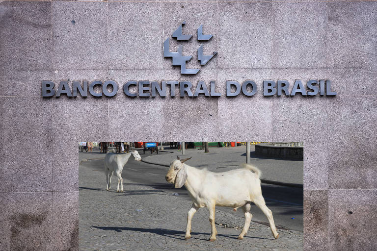 Os bodes gordo e magro na sala do BC