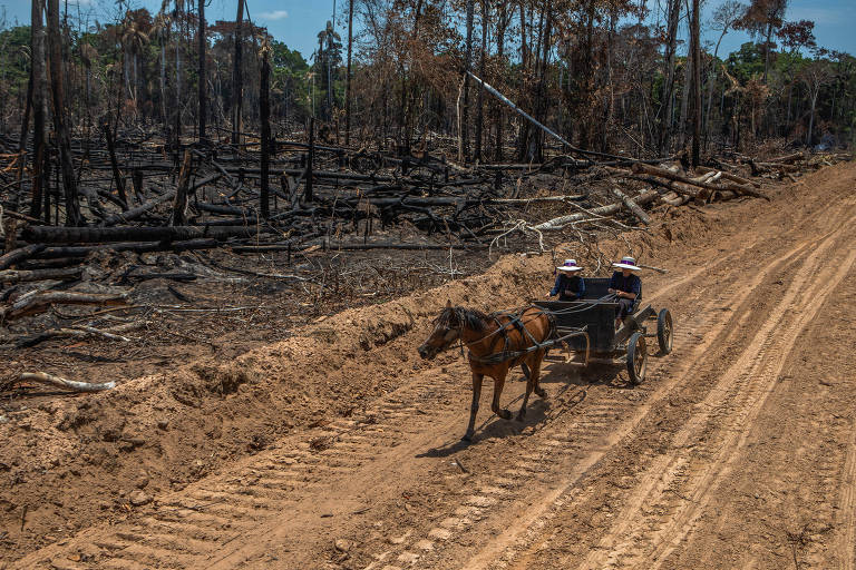 Conheça o grupo religioso que está fundando colônias isoladas na Amazônia