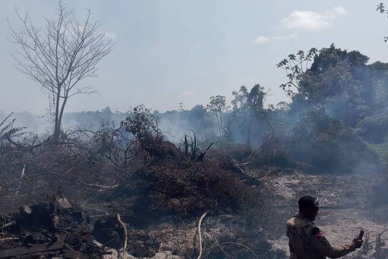 Incêndio no Marajó consome amazônia há três semanas; veja fogo se aproximar de casas