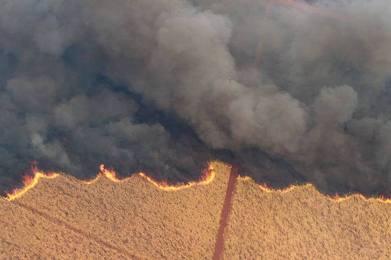 Dino determina mobilização de Forças Armadas e PF para combate a incêndios em amazônia e pantanal