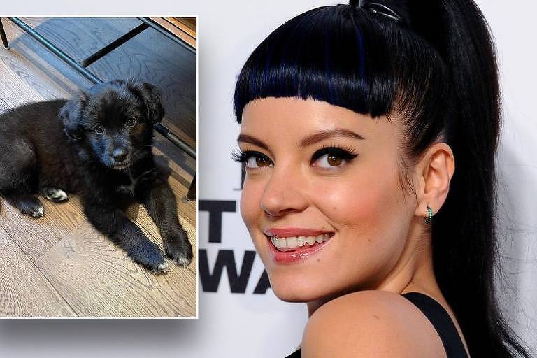 Cão devolvido por Lily Allen já foi adotado por nova família, diz ONG