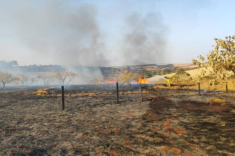 Marina não pode culpar Bolsonaro por incêndios, diz presidente de comissão da Câmara