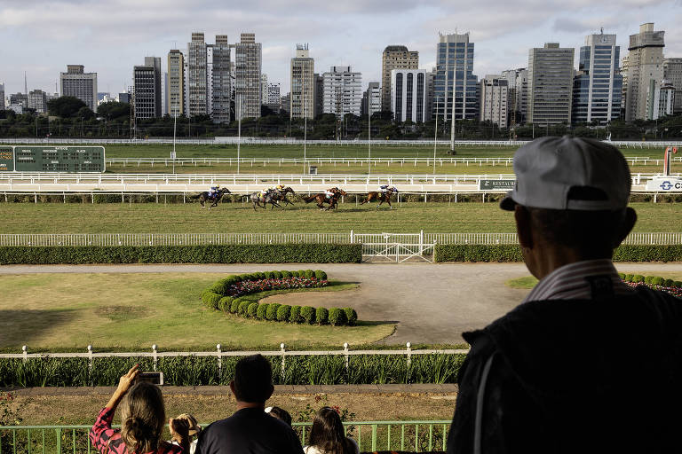 Justiça suspende lei que proibia corrida de cavalos no Jockey Club de SP