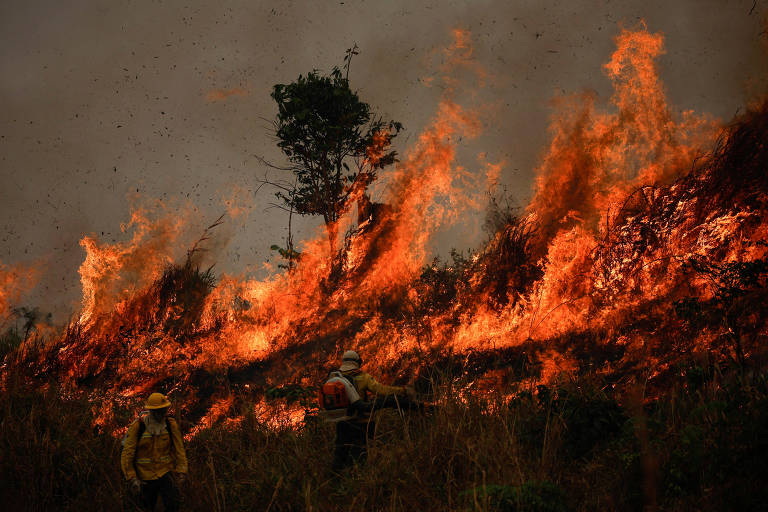 Incêndios na amazônia em agosto atingem maior nível em 14 anos