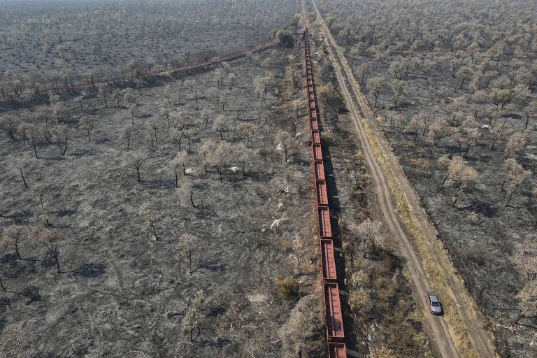 A imagem mostra uma vasta área de floresta queimada, com árvores carbonizadas e solo exposto. Um trem de vagões vermelhos se estende ao longo de uma linha férrea, que corre paralela a uma estrada de terra. O ambiente é árido e desolado, com poucos sinais de vegetação saudável ao redor.
