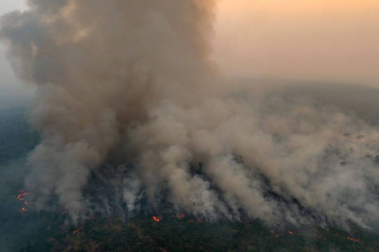 PF investiga 52 incêndios no Brasil, mas não vê ação orquestrada até agora