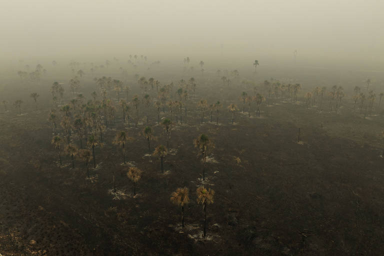 Entenda em mapas a evolução dos incêndios no Brasil nos últimos meses