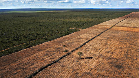 MATEIROS, TO. 17/03/2024. ESPECIAL CERRADO. Area recem desmatada de cerrado na divisa com a Estacao Ecologica Serra Geral do Tocantins, na regiao do Jalapao. ( Foto: Lalo de Almeida/Folhapress ). AMBIENTE. *** EXCLUSIVO FOLHA*** ORG XMIT: AGEN2404011820007038