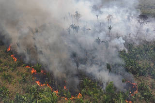 FILE PHOTO: Forest fires in the Amazon