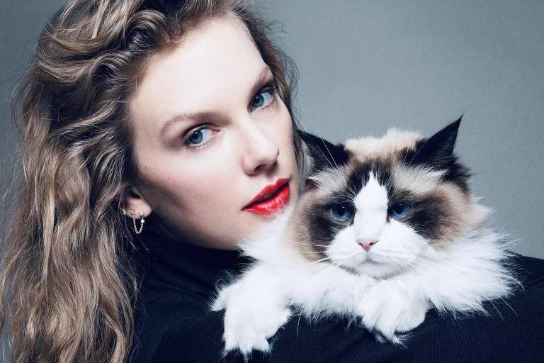 Taylor Swift, mulher sem filhos e com gatos, sabe o impacto que pode ter nas eleições americanas