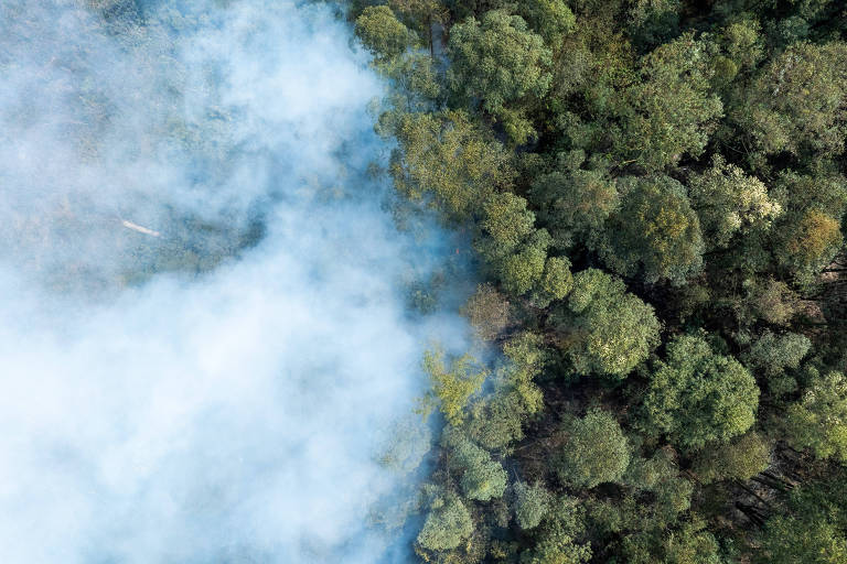 Causadores de incêndios serão punidos e terão que recuperar biomas, diz Sarrubbo