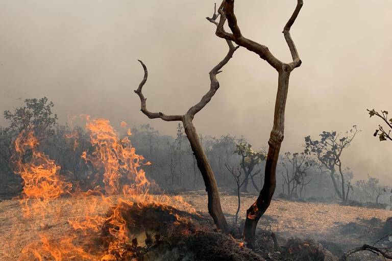 Fumaça de incêndios ofusca discurso sustentável de ministros da Agricultura do G20