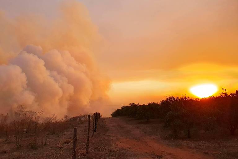 Agronegócio estima prejuízo de R$ 14,7 bilhões com incêndios