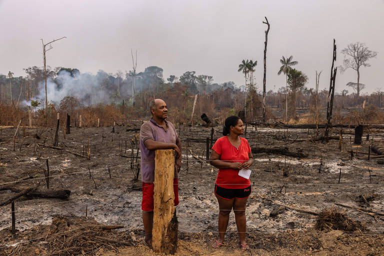 A Amazônia queima no seu bolso