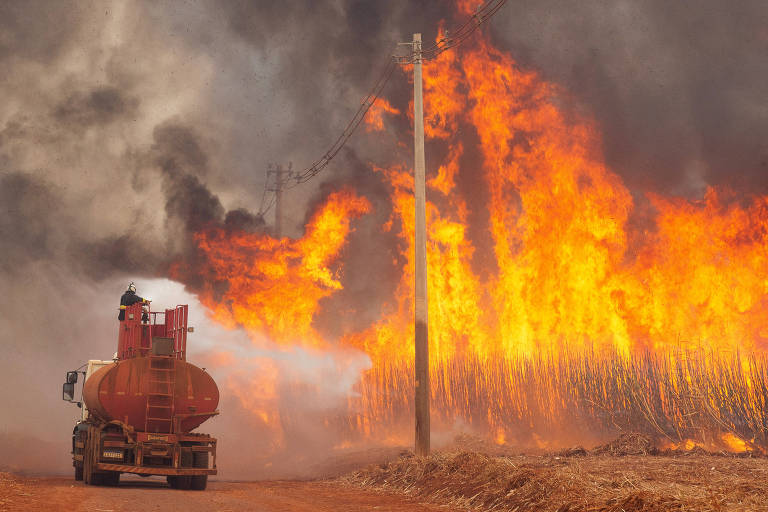 Com Brasil, incêndios na América do Sul batem novo recorde