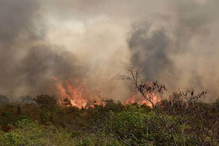 Governo do DF deve chamar de volta 8 bombeiros cedidos à Força Nacional