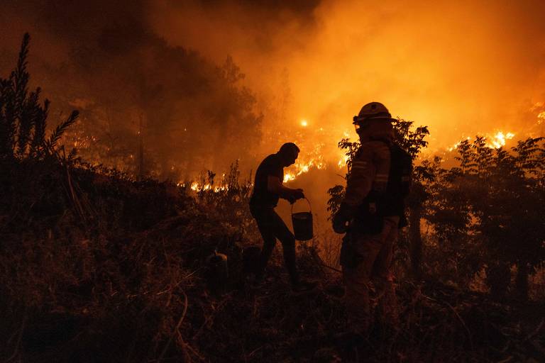 Brasileiro de 28 anos morre carbonizado num incêndio florestal em Portugal