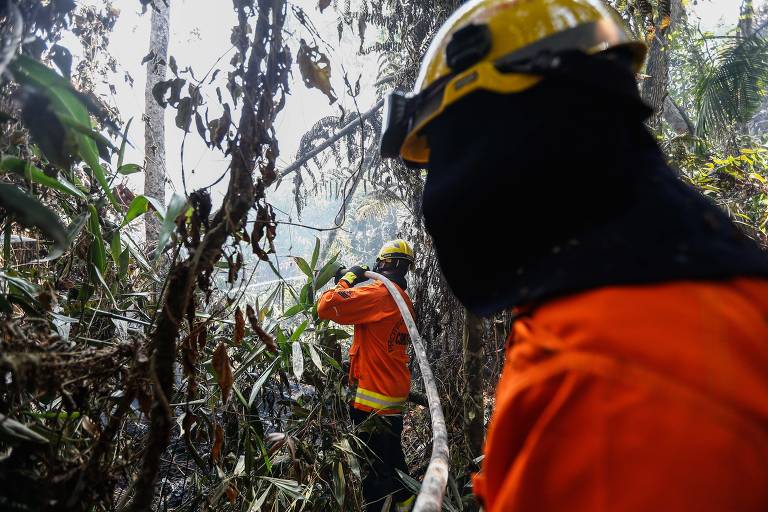 Polícia Militar de Brasília prende suspeito de atear fogo em vegetação próxima a Mata Ecológica