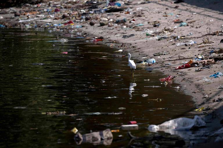 91% do lixo coletado por estudo em praias do Brasil é plástico