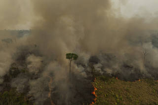 MUDANAS CLIMATICAS NA AMAZONIA