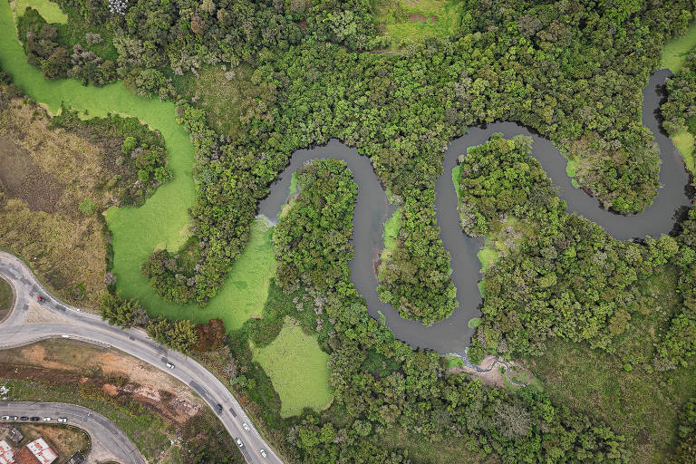 Mancha de poluição no rio Tietê cresce 29% em um ano, no 3º aumento consecutivo