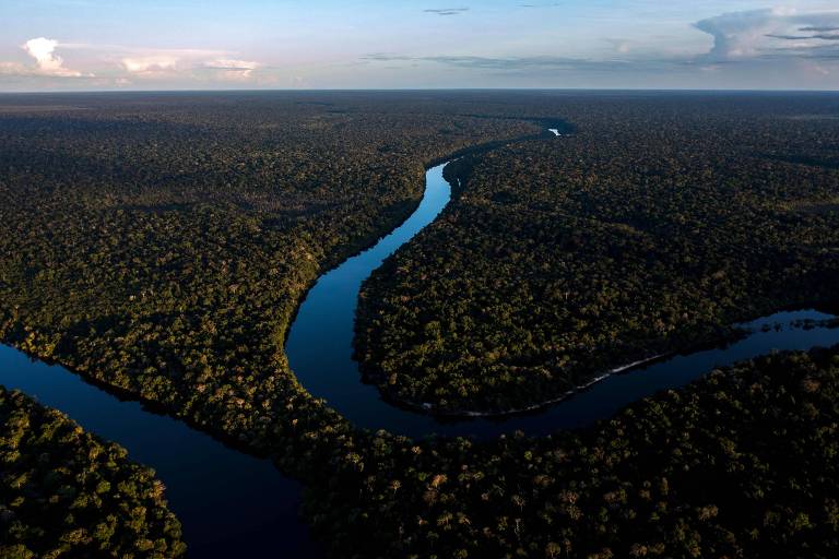 Brasil não tem planos para emissão específica ligada à amazônia e foca títulos sustentáveis, diz Tesouro