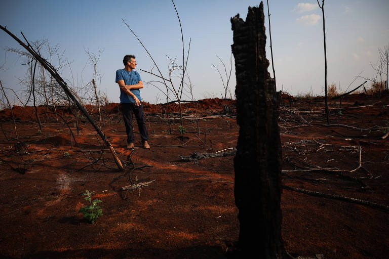 Mococa (SP) tenta evitar mais uma tragédia após 10 mil hectares de área dizimados pelas chamas