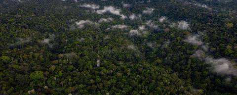 Aerial view of the Adolpho Ducke Forest Reserve, part of Amazonia rainforest, located in the east zone of Manaus, Amazonas state, Brazil on June 5, 2023, during the World Environment Day. (Photo by MICHAEL DANTAS / AFP)