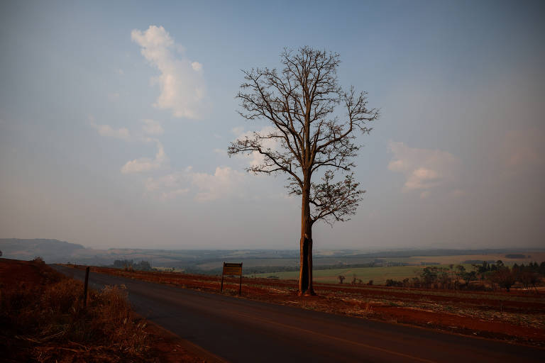 Sob a fumaça, algo bom para o clima