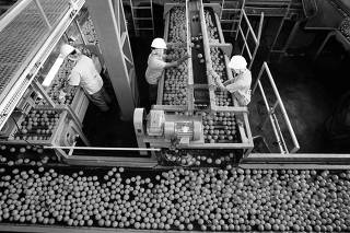 Linha de produção da indústria de suco de laranja Cutrale, em Araraquara (SP)