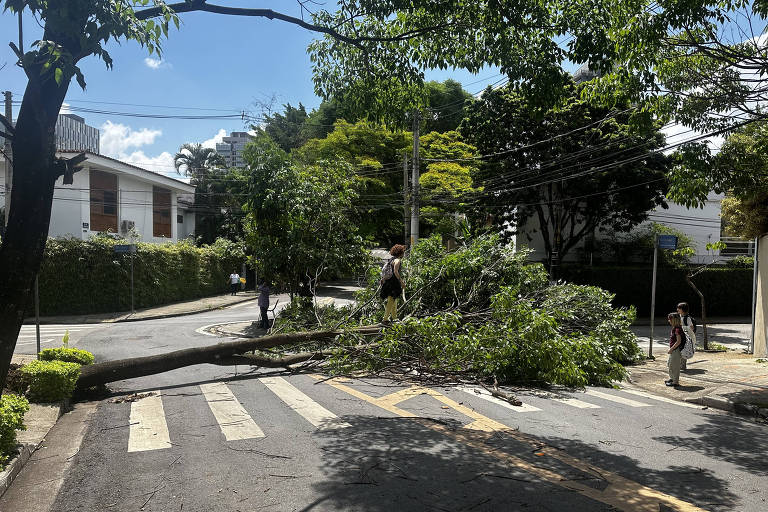 Imagem mostra árvore caída interrompendo completamente o trânsito de uma rua em São Paulo. Uma mulher caminha sobre o tronco da árvore e duas crianças observam. Na última sexta-feira uma forte tempestade atingiu a cidade provocando quedas de árvores e apagões.