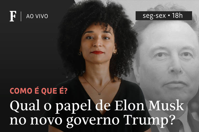 Qual o papel de Elon Musk no novo governo Trump?