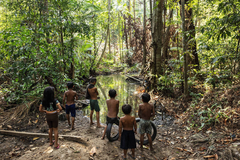 Um grupo de crianças está de costas, observando um pequeno riacho em uma floresta densa. Elas estão descalças e vestem roupas simples. A vegetação ao redor é verde e exuberante, com árvores altas e folhagens variadas. A luz do sol penetra através das copas das árvores, iluminando a cena.