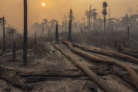 2024 atingiu 'novos patamares perigosos' para o clima, diz relatório climático