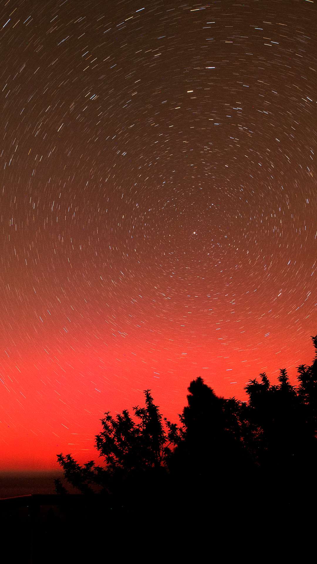 Imágenes de las impresionantes auroras boreales